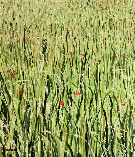 In het Groen | Atelier45